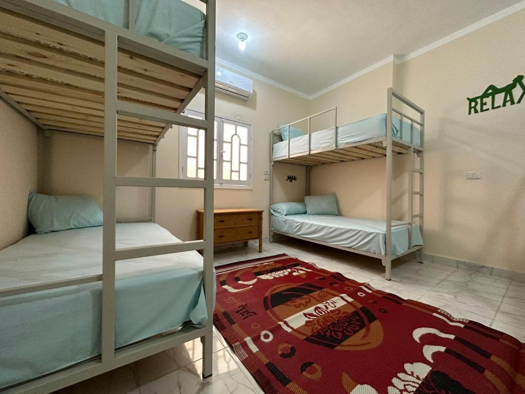 um quarto com 2 beliches e um tapete em Skylen Hostel em Hurghada