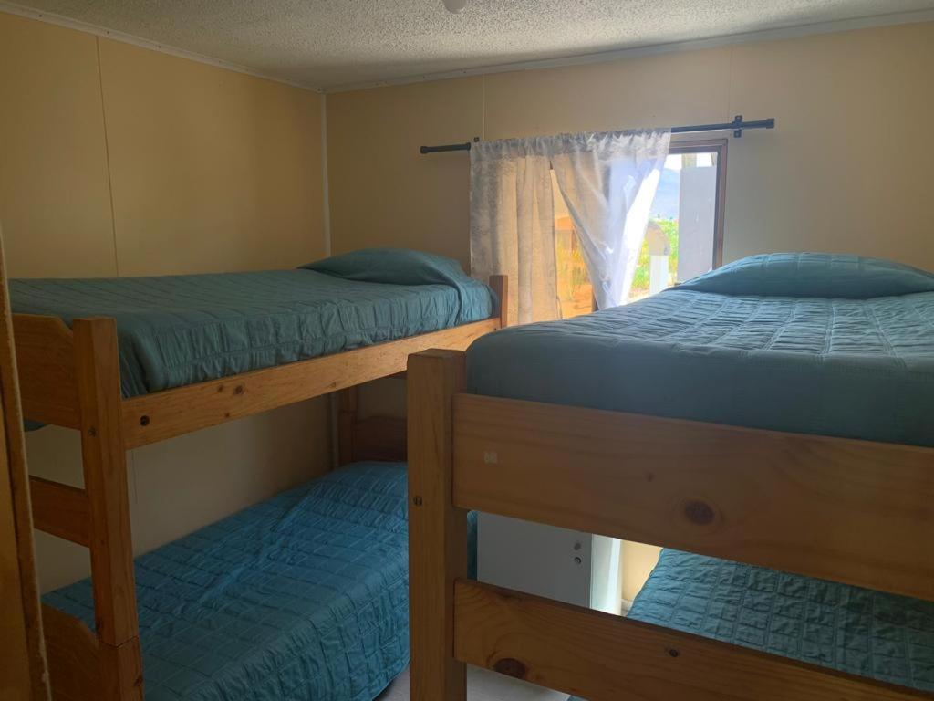 two bunk beds in a room with a window at Alojamiento Portofino Chañaral. in Ciudad de Chañaral