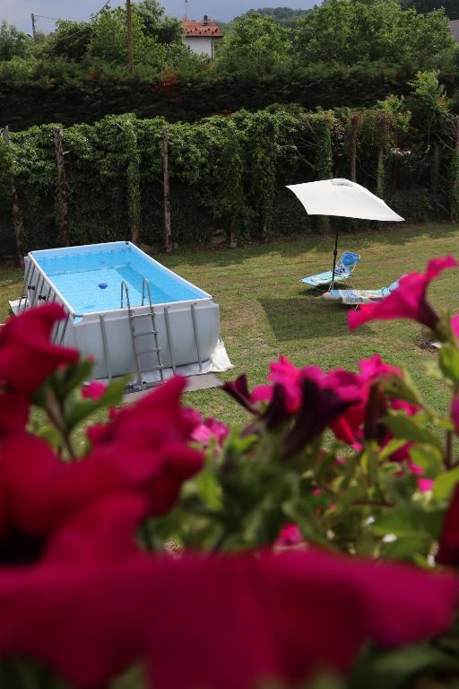 a swimming pool and an umbrella and pink flowers at Monferrato Guest House - Casa Gabry in Bruno