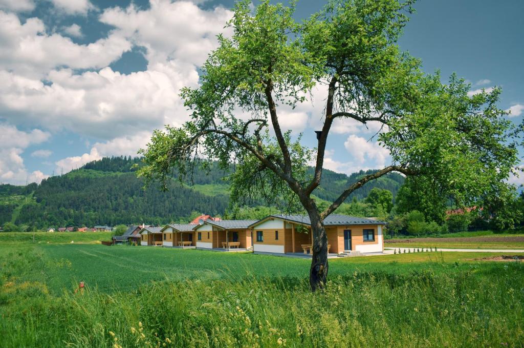 Príroda v okolí apartmánu