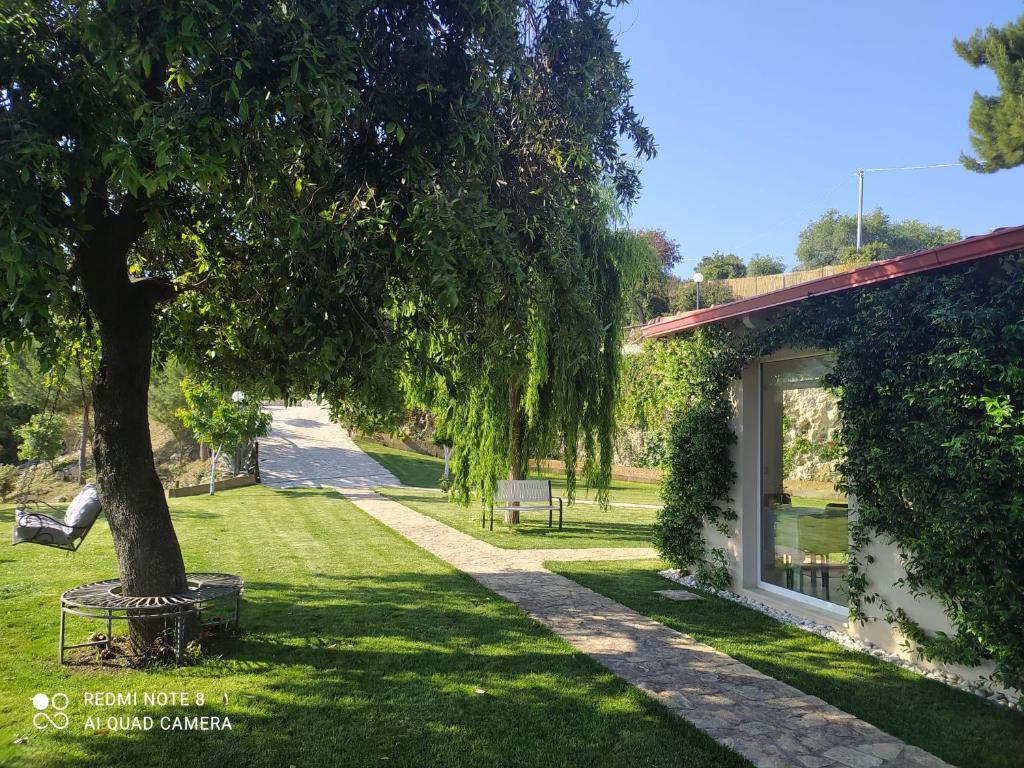 a tree in the grass next to a building at B&B Volver in Peschici