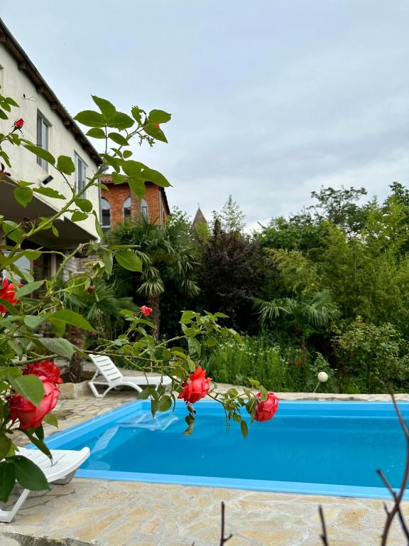 Bazén v ubytování Mate Guesthouse nebo v jeho okolí