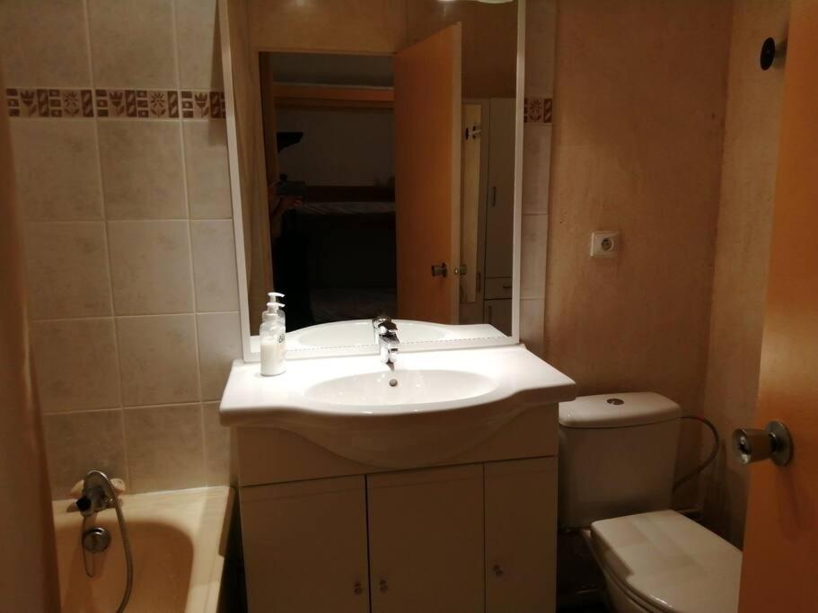 a bathroom with a sink and a toilet at La Mansarde – Apt. 4 personnes in Saint-Lary-Soulan