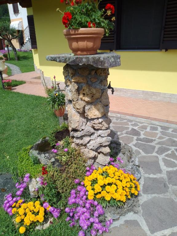 Zahrada ubytování Le sette fontane