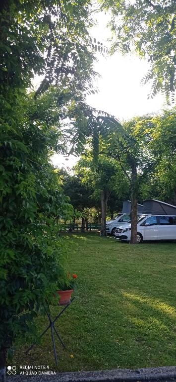 Zahrada ubytování Parco Vacanze Bracchetto Vetta