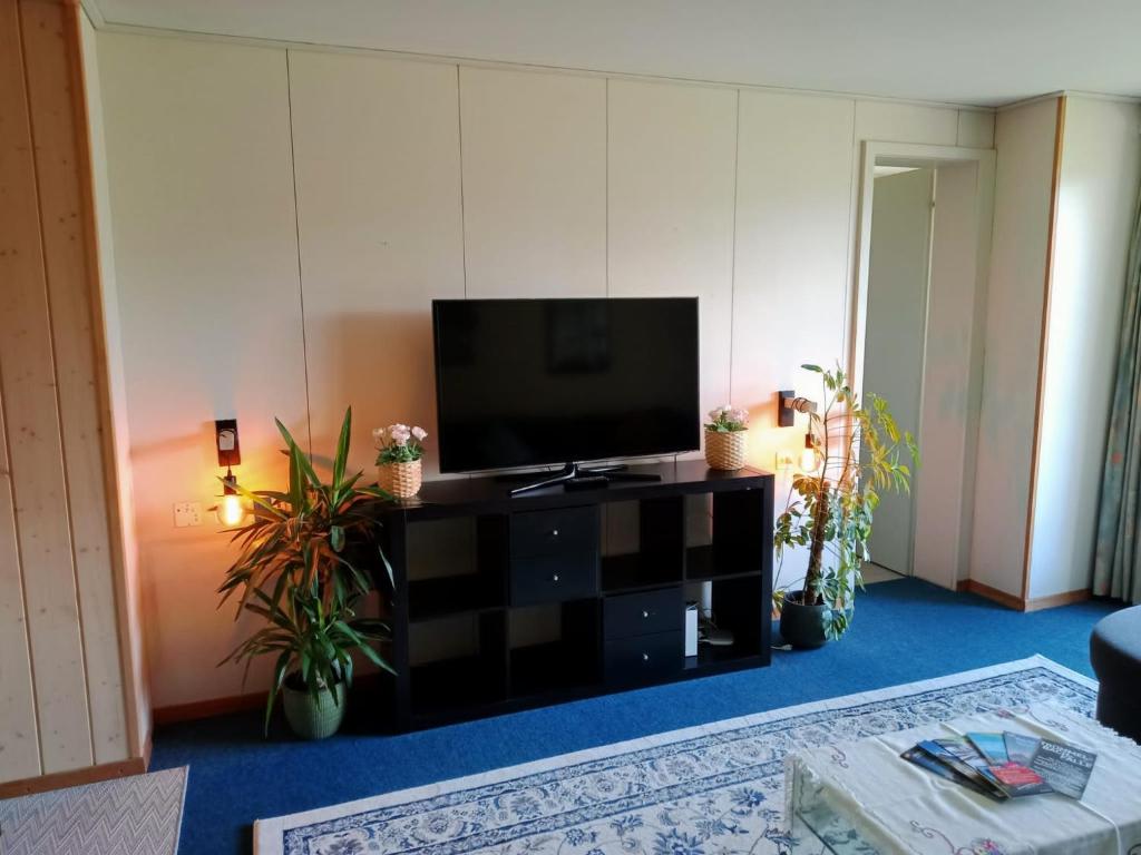 TV a/nebo společenská místnost v ubytování Apartment with great view at Residence Brunner