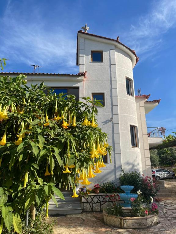 Zahrada ubytování Villa HENA