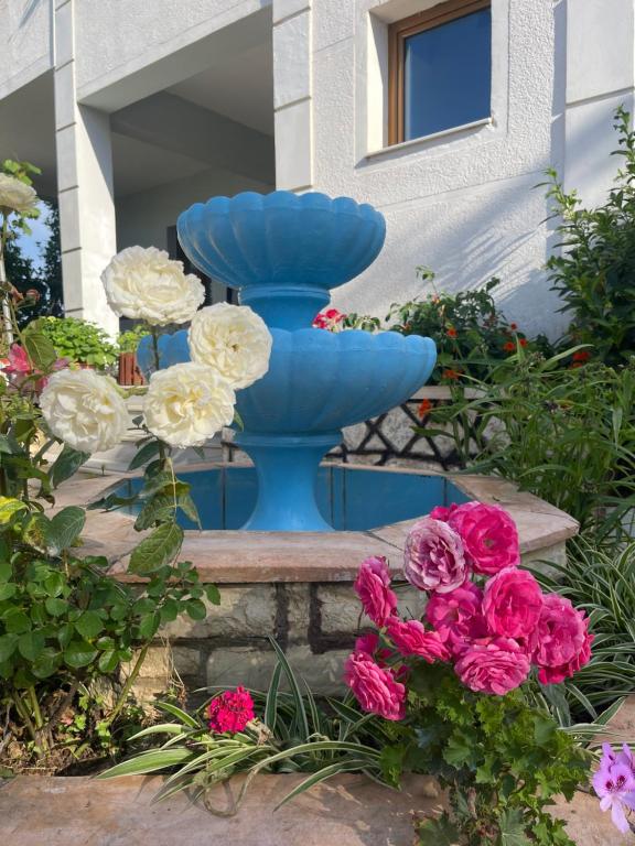 Zahrada ubytování Villa HENA