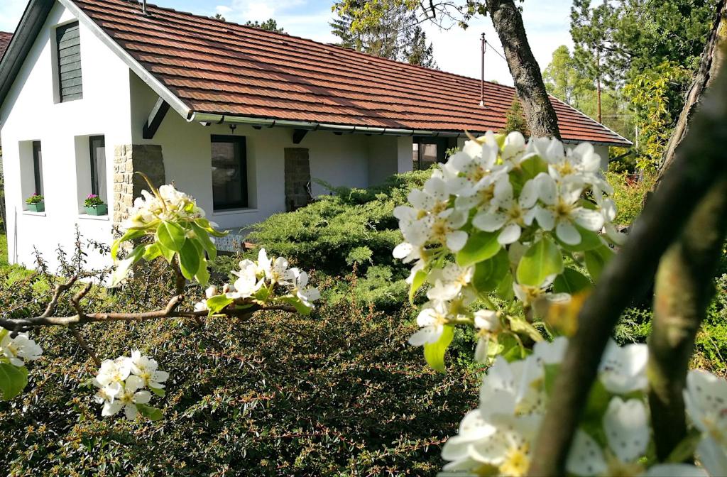 una casa con flores blancas delante de ella en Palkovics vendégház Dunabogdány, en Dunabogdány