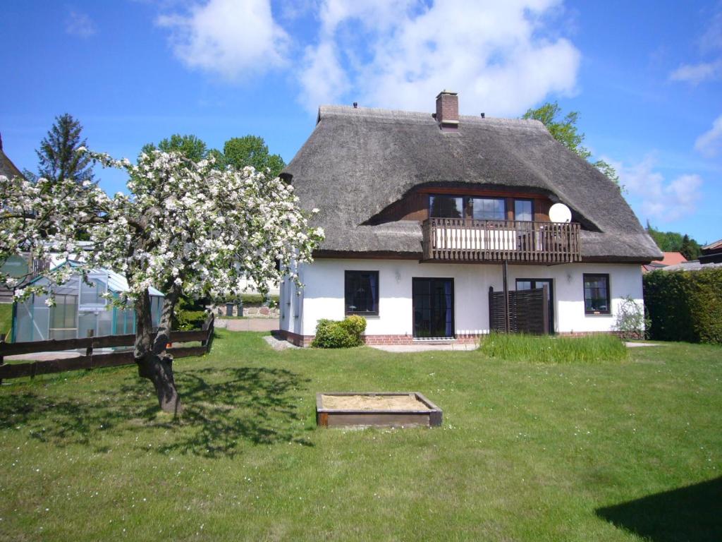 a house with a thatched roof with a tree in the yard at Ferienhaus Möwe in Lancken-Granitz