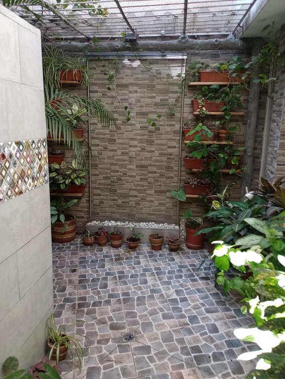 Zahrada ubytování Noras Homestay Laureles