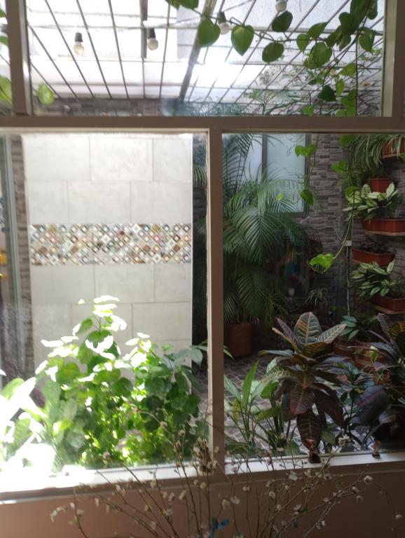 Zahrada ubytování Noras Homestay Laureles