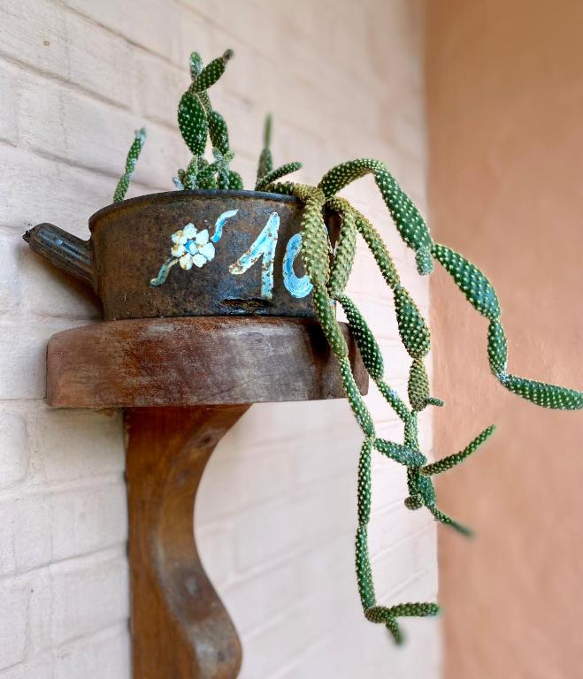 Pousada Vila Serrano - Suite With Pool View