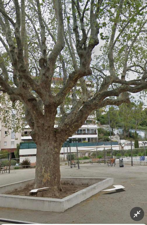 Photo de la galerie de l'établissement Le Vallombrosa T2, à Cannes