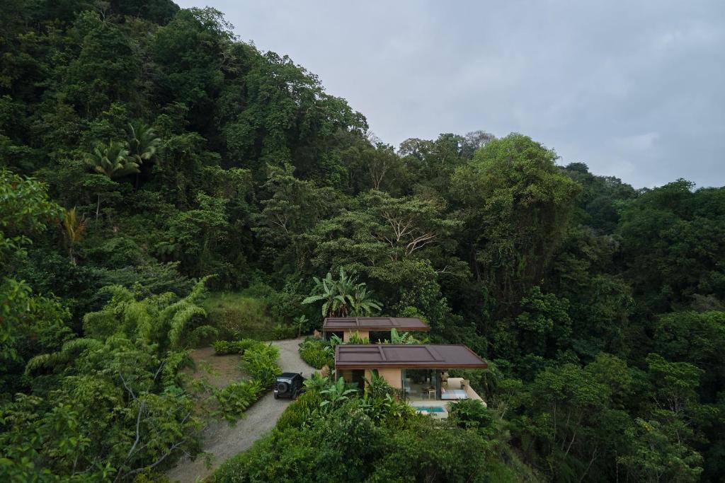 a house in the middle of a forest at ACHIOTÉ Architectural Gem - Adults Only in Uvita