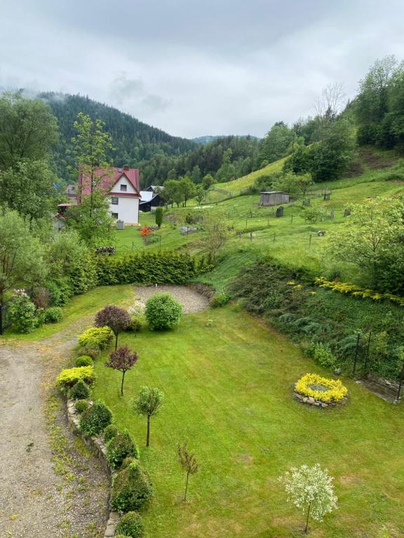 a green field with a house on a hill at Nad Strumykiem APARTAMENT in Ochotnica Dolna