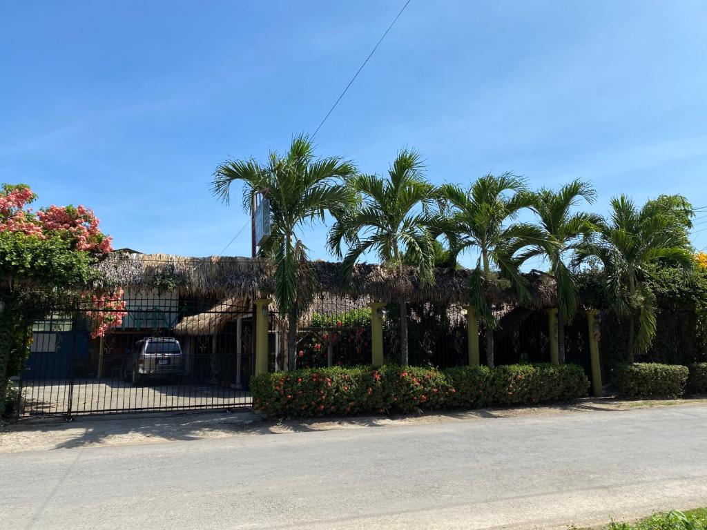 un edificio con palmeras frente a una calle en Mauras Tropical Mini Hostel & Tours, en Paquera