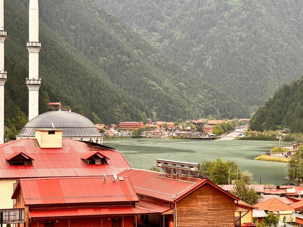 Una mezquita con vistas a un río y a las montañas. en Solaklı Pansiyon, en Uzungöl