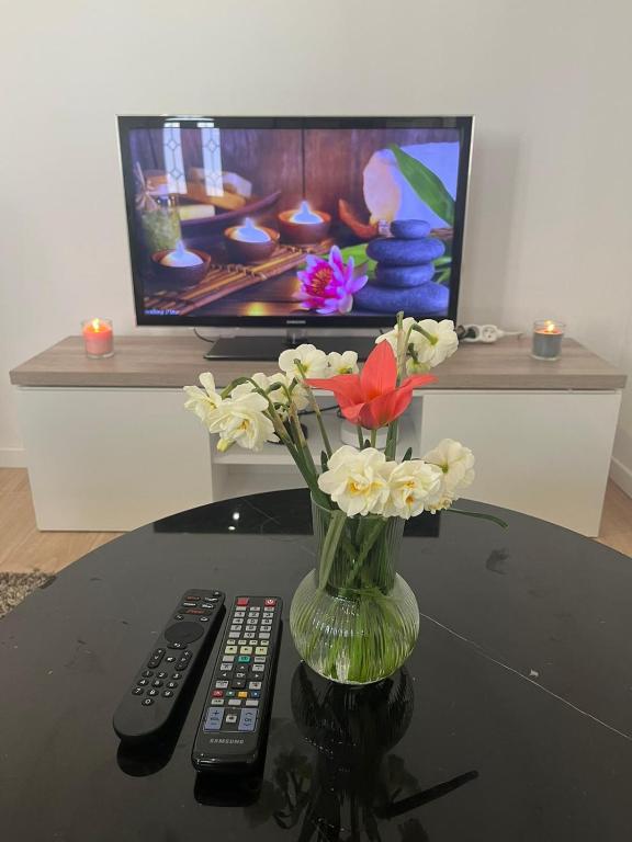 wazon kwiatów na stole z telewizorem w obiekcie Maison des Larris - proche Aéroport - navette Gare w Beauvais