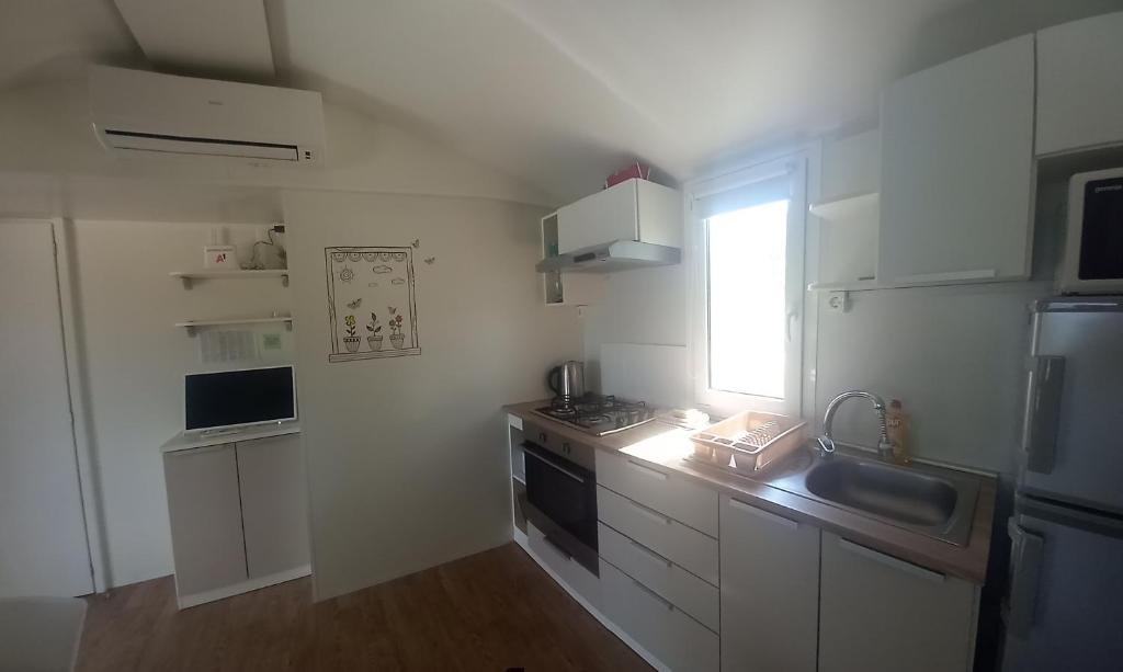 Kuchyň nebo kuchyňský kout v ubytování Mobile Homes Seashell Jezera