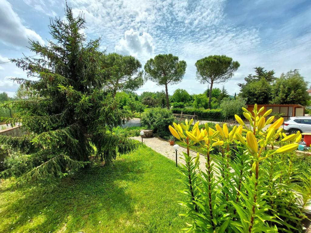 Ogród w obiekcie Casa Vacanze - La Ginestra