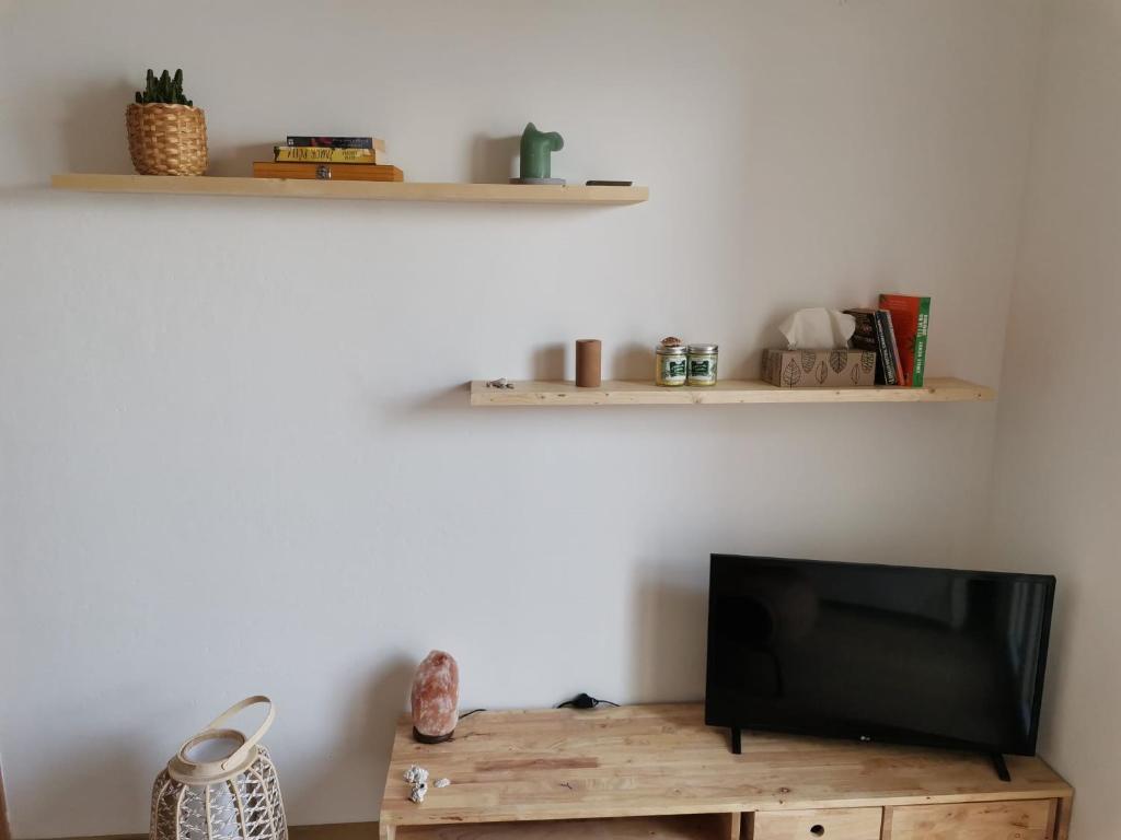 TV a/nebo společenská místnost v ubytování Apartment Bistrica Sunce