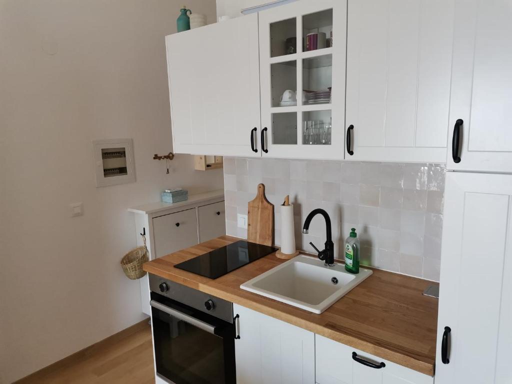 Kuchyň nebo kuchyňský kout v ubytování Apartment Bistrica Sunce
