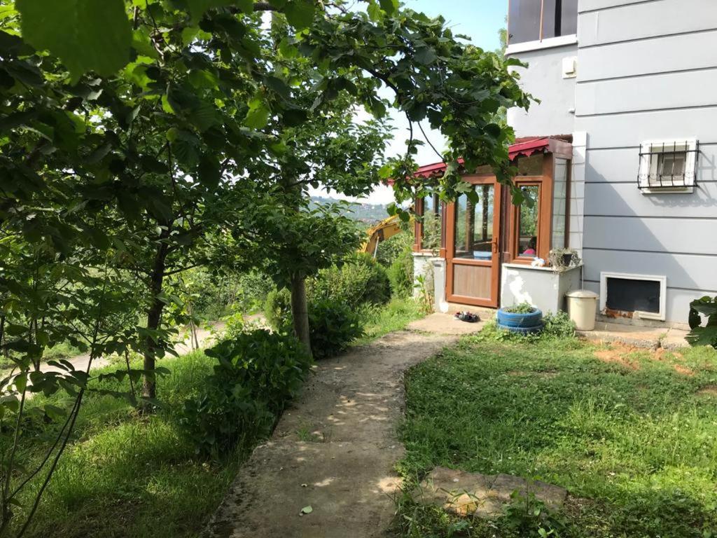 un camino que conduce a la puerta principal de una casa en Hancı Village KaŞ, en Trabzon