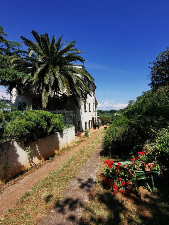 a house with a palm tree and a table with flowers at Apartment Kira - spacious apartment with sea view in Ližnjan