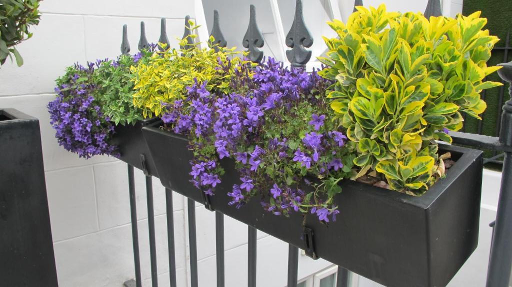 Alhambra Hotel - Resim 9