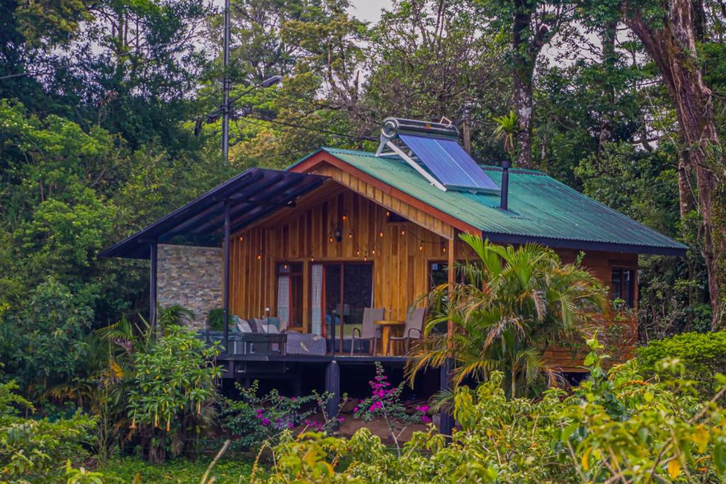 蒙特韋爾德哥斯達黎加的住宿－Cabañas Hoja Verde，树林中的一间小屋,设有太阳能屋顶