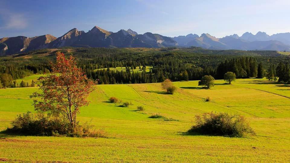 un campo verde con montañas al fondo en Pokoje Gościnne Panorama en Rzepiska