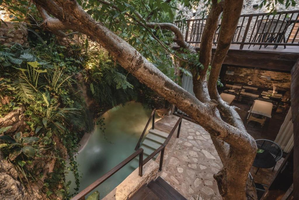 Fotografie z fotogalerie ubytování Hotel Sutuk v destinaci Valladolid