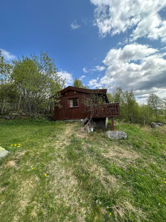 貝圖斯托的住宿－Liten og koselig hytte，一座小房子,位于一座带草地的山丘上