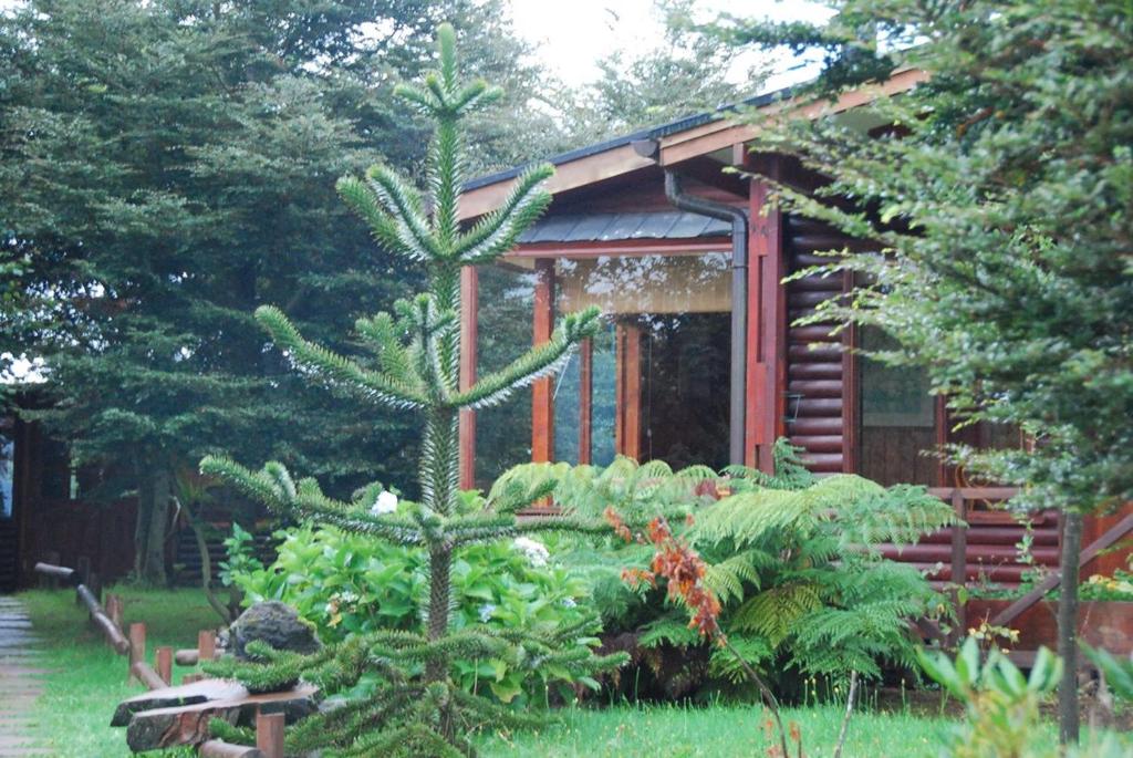 Zahrada ubytování Rio Maullin Lodge