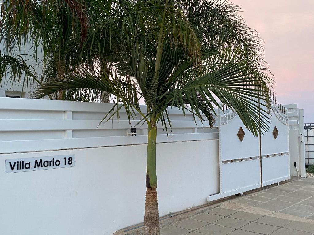 una palmera frente a una pared blanca en Villa Mario - 2min walk from Kapparis Beach, en Paralimni