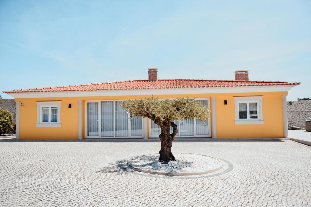 Yellow Sweet Home - Maria e Beatriz 5