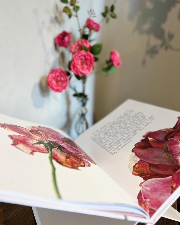 Logies aan de Dam - Resim 18