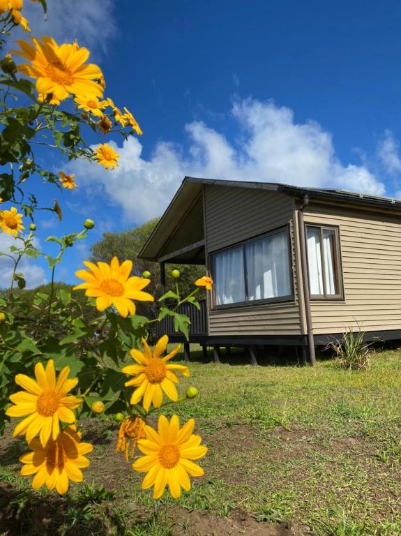 Zahrada ubytování Maunga Roa Eco Lodge