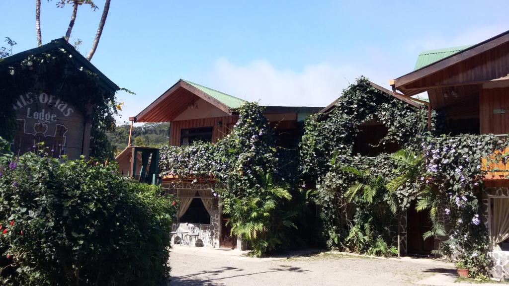 a group of buildings with ivy growing on them at Historias Lodge in Monteverde Costa Rica