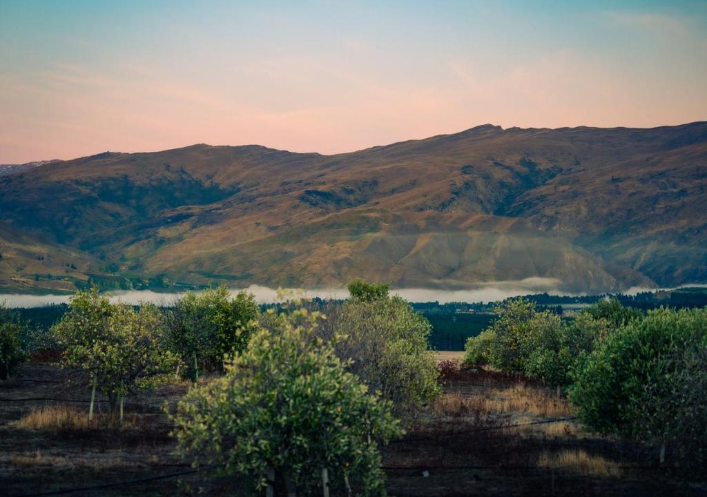 Haurapa PurePod - Resim 6