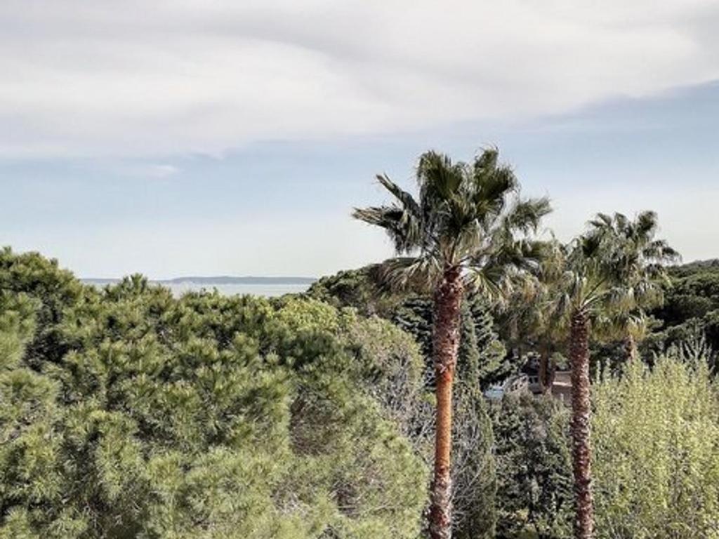 un groupe de palmiers au sommet d'une colline dans l'établissement Charmant T2 avec Piscine, Tennis, Wifi et Garage à Bormes-les-Mimosas - FR-1-610-92, à Bormes-les-Mimosas
