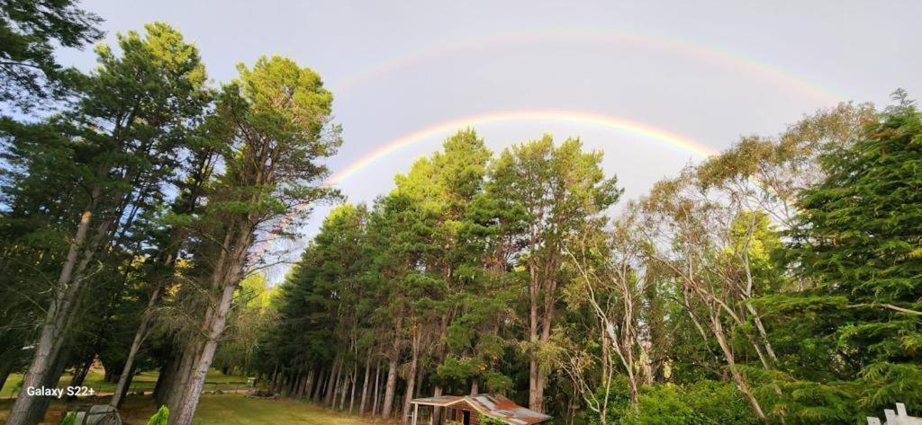 a rainbow in the sky over a forest of trees at Carinya Village Jindabyne in Jindabyne