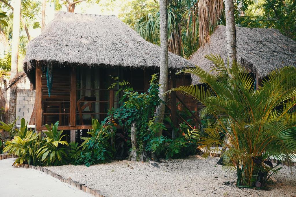 Zahrada ubytování Bluebayou Bacalar