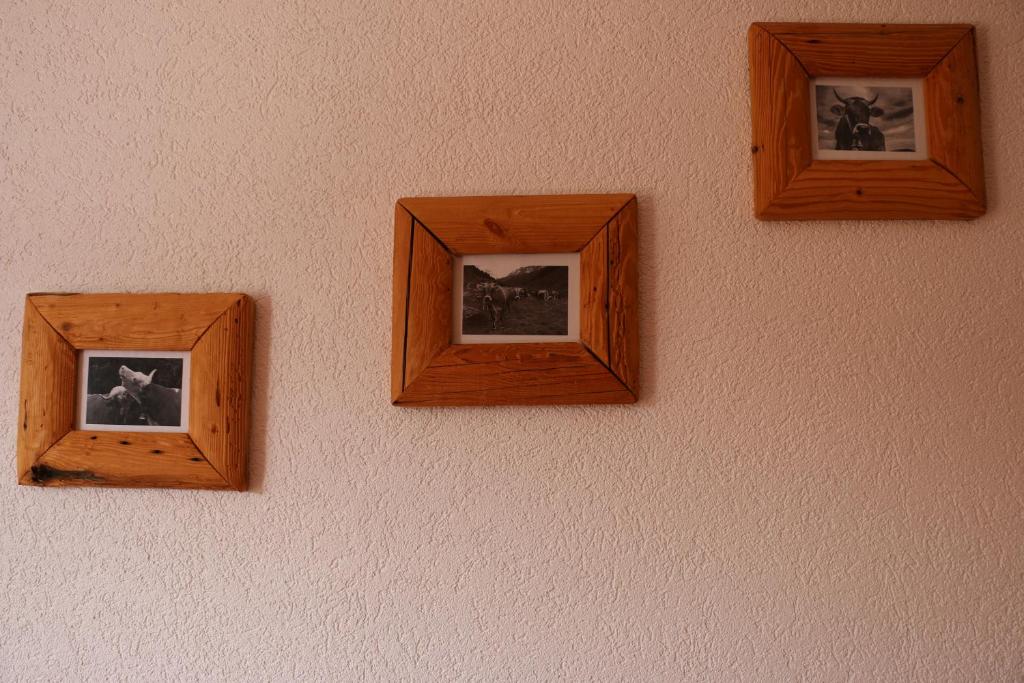 Fotografie z fotogalerie ubytování Le Vieux Valais v destinaci Ovronnaz