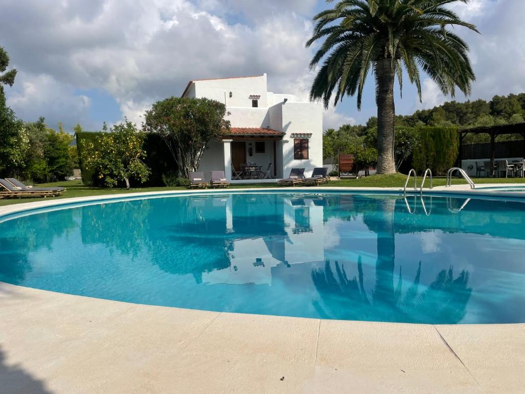 a swimming pool in front of a house with a palm tree at Authentic Villa with amazing pool in Santa Gertrudis de Fruitera