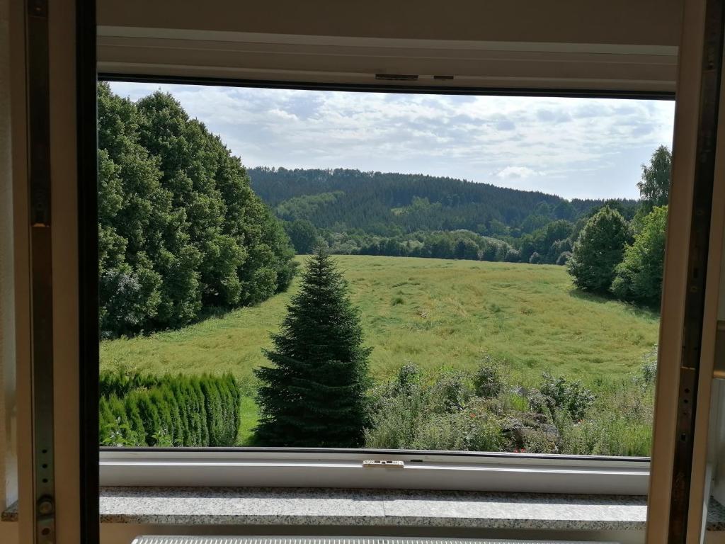 a window view of a field and a christmas tree at Ferienwohnung Max in Schirgiswalde