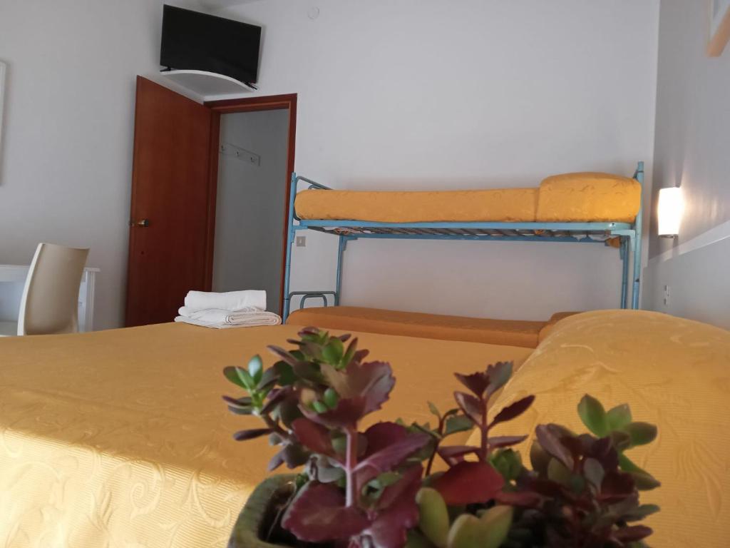 Postel nebo postele na pokoji v ubytování Hotel Haiti
