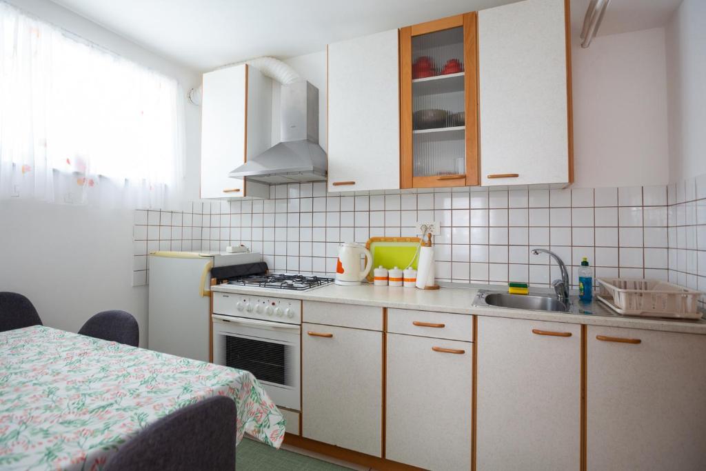 Kuchyň nebo kuchyňský kout v ubytování Apartments and Rooms Ješelnik