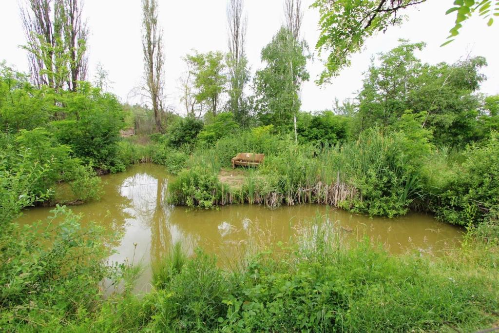 Příroda nedaleko bed and breakfast